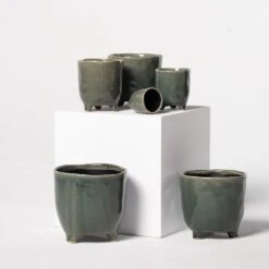 Indoor Pot Kaat β Green