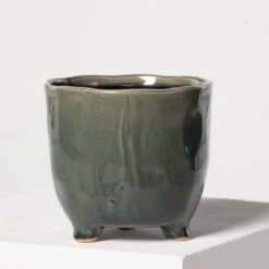 Indoor Pot Kaat – Green 13 Indoor Pot Kaat – Green -Plant Discount Store 3936 1