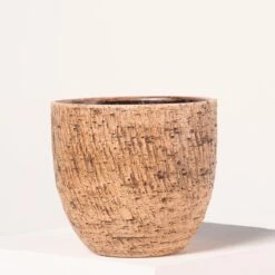 Indoor Pot Karlijn – Camel 12 Indoor Pot Karlijn – Camel -Plant Discount Store 4056