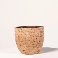 Indoor Pot Karlijn – Camel 13 Indoor Pot Karlijn – Camel -Plant Discount Store 4057