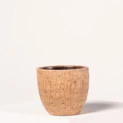 Indoor Pot Karlijn – Camel 15 Indoor Pot Karlijn – Camel -Plant Discount Store 4059