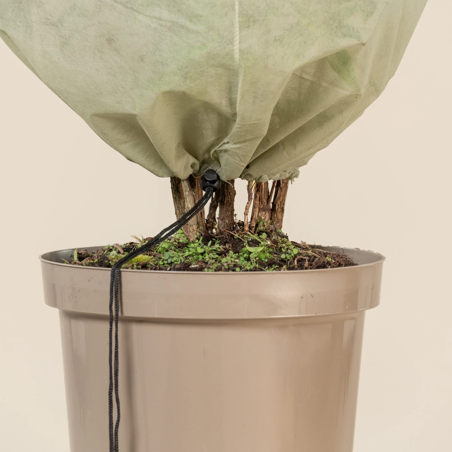 Fleece Jackets 2 Fleece Jackets - Image 2