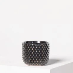 Plant Discount Store -Plant Discount Store IND B 60a9819f415521