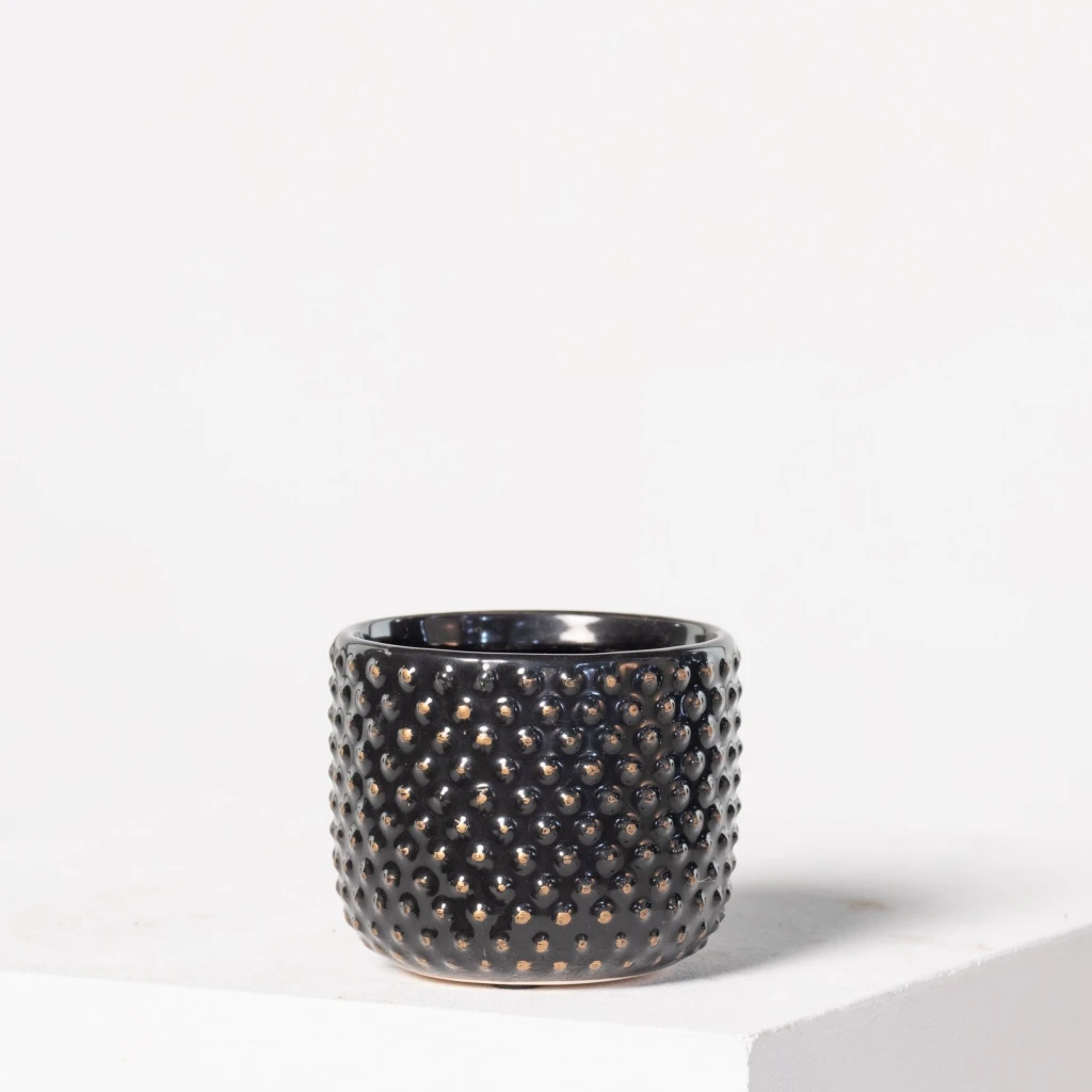 Indoor Pot Bolino Shiny Black 2 Indoor Pot Bolino Shiny Black - Image 2