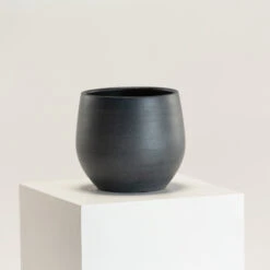 Indoor Pot Esra – Black 6 Indoor Pot Esra – Black -Plant Discount Store IND EB 20