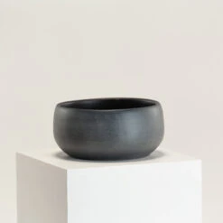 Indoor Pot Esra – Black 7 Indoor Pot Esra – Black -Plant Discount Store IND EBB