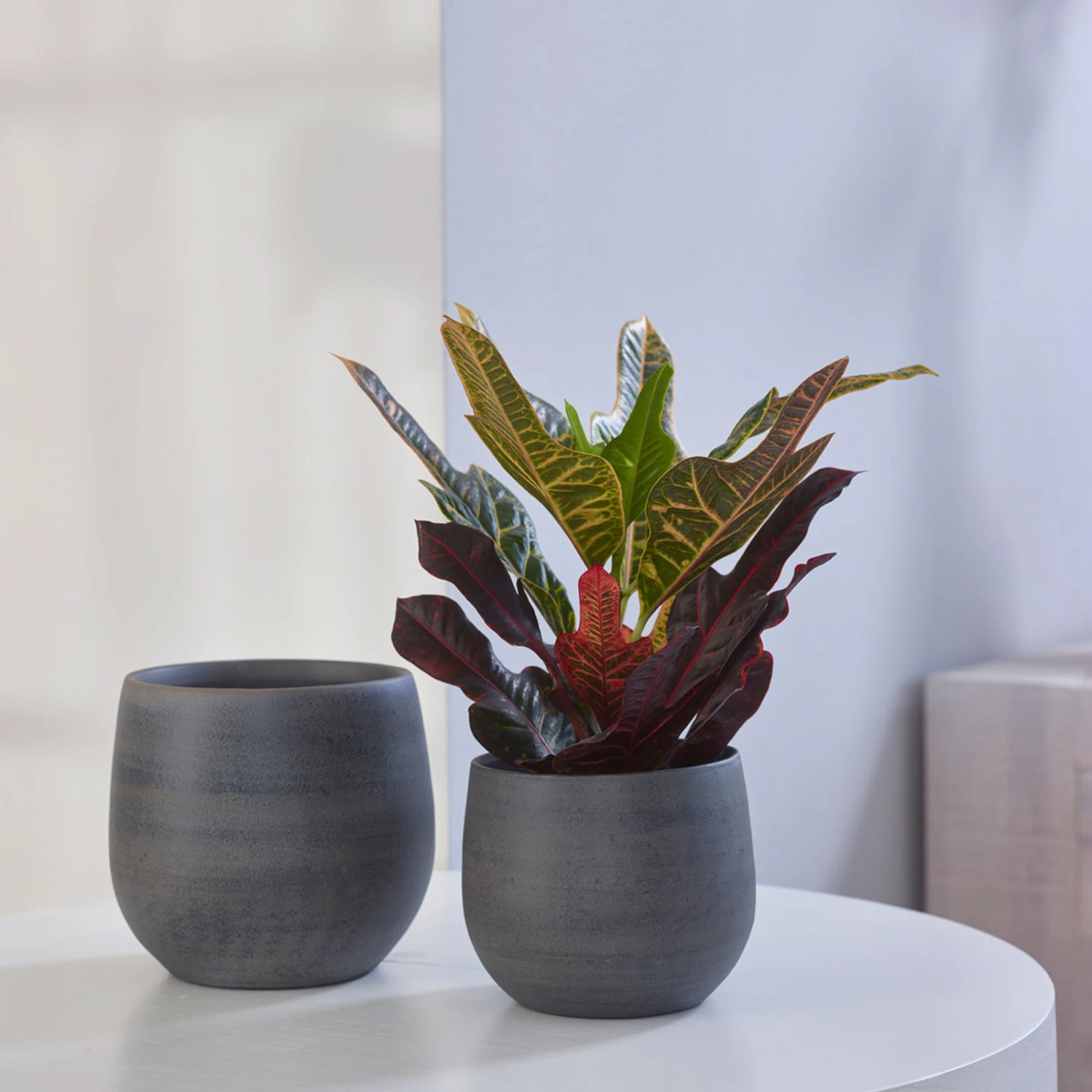 Indoor Pot Esra Mystic – Grey 6 Indoor Pot Esra Mystic – Grey - Image 6