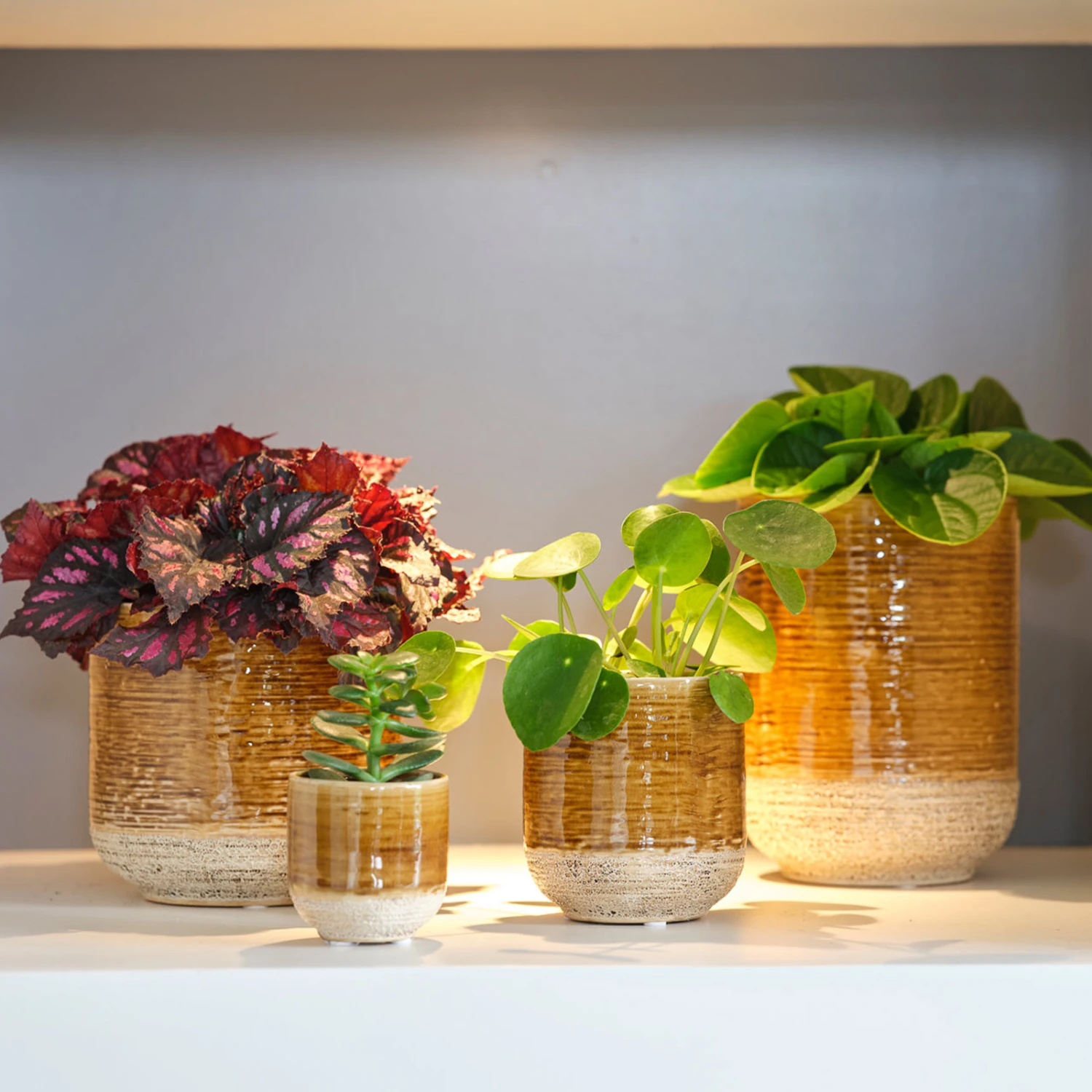 Indoor Pot Issa – Yellow 7 Indoor Pot Issa – Yellow - Image 7