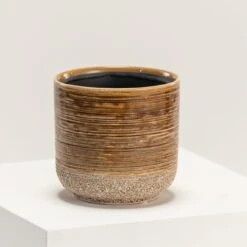 Indoor Pot Issa – Yellow 11 Indoor Pot Issa – Yellow -Plant Discount Store IND IY15 5 scaled 1