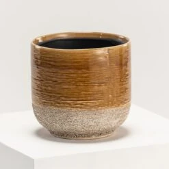 Indoor Pot Issa – Yellow 12 Indoor Pot Issa – Yellow -Plant Discount Store IND IY17 6 scaled 1