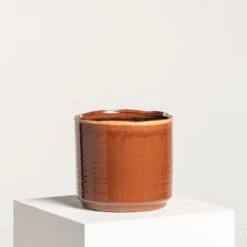 Indoor Pot Jordy – Caramel 19 Indoor Pot Jordy – Caramel -Plant Discount Store IND JO 8 2 scaled 1