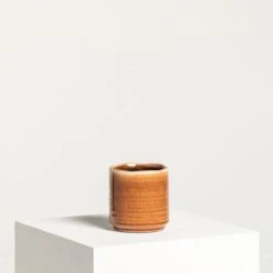 Indoor Pot Jordy – Caramel 15 Indoor Pot Jordy – Caramel -Plant Discount Store IND JO11 5 scaled 1