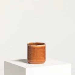 Indoor Pot Jordy – Caramel 16 Indoor Pot Jordy – Caramel -Plant Discount Store IND JO13 6 scaled 1