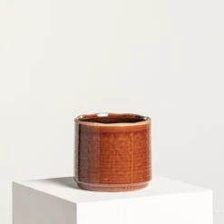 Indoor Pot Jordy – Caramel 17 Indoor Pot Jordy – Caramel -Plant Discount Store IND JO15 7 scaled 1