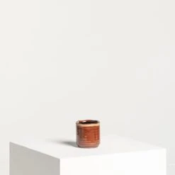 Indoor Pot Jordy – Caramel 14 Indoor Pot Jordy – Caramel -Plant Discount Store IND JO7 4 scaled 1