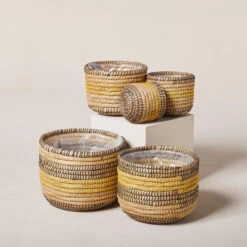 Indoor Pot Jane – Savana