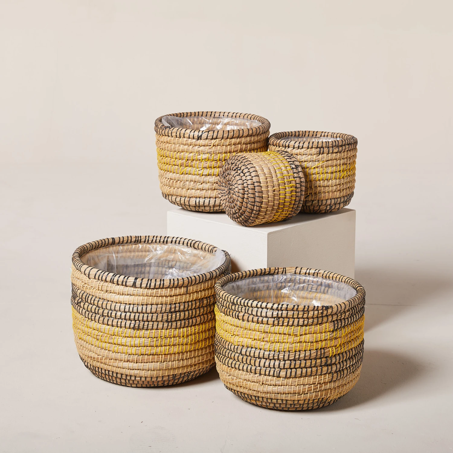 Indoor Pot Jane – Savana 1 Indoor Pot Jane – Savana