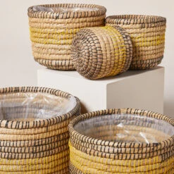 Indoor Pot Jane – Savana 7 Indoor Pot Jane – Savana -Plant Discount Store IND JSA 6199392c30108