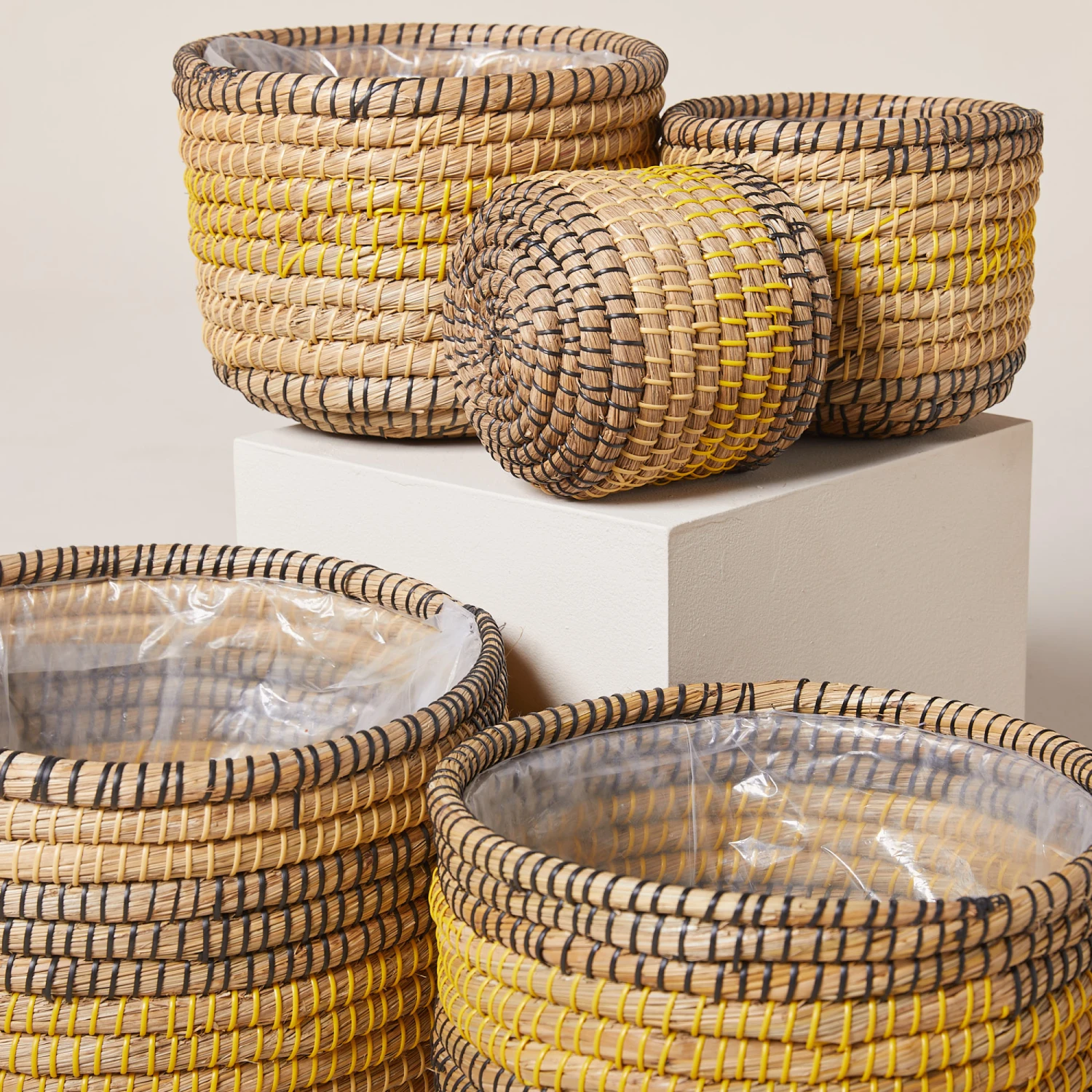 Indoor Pot Jane – Savana 4 Indoor Pot Jane – Savana - Image 4