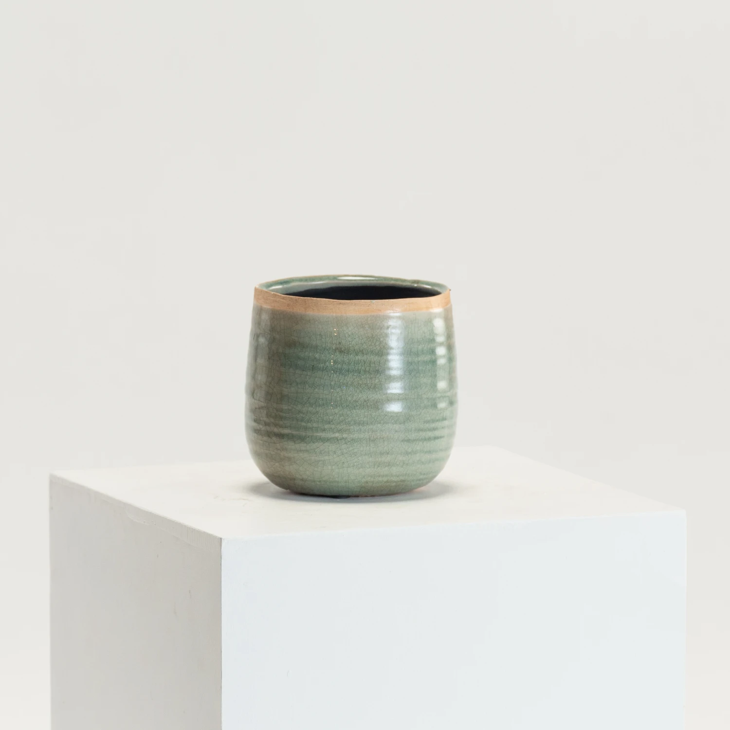 Indoor Pot Iris Mint 5 Indoor Pot Iris Mint - Image 5