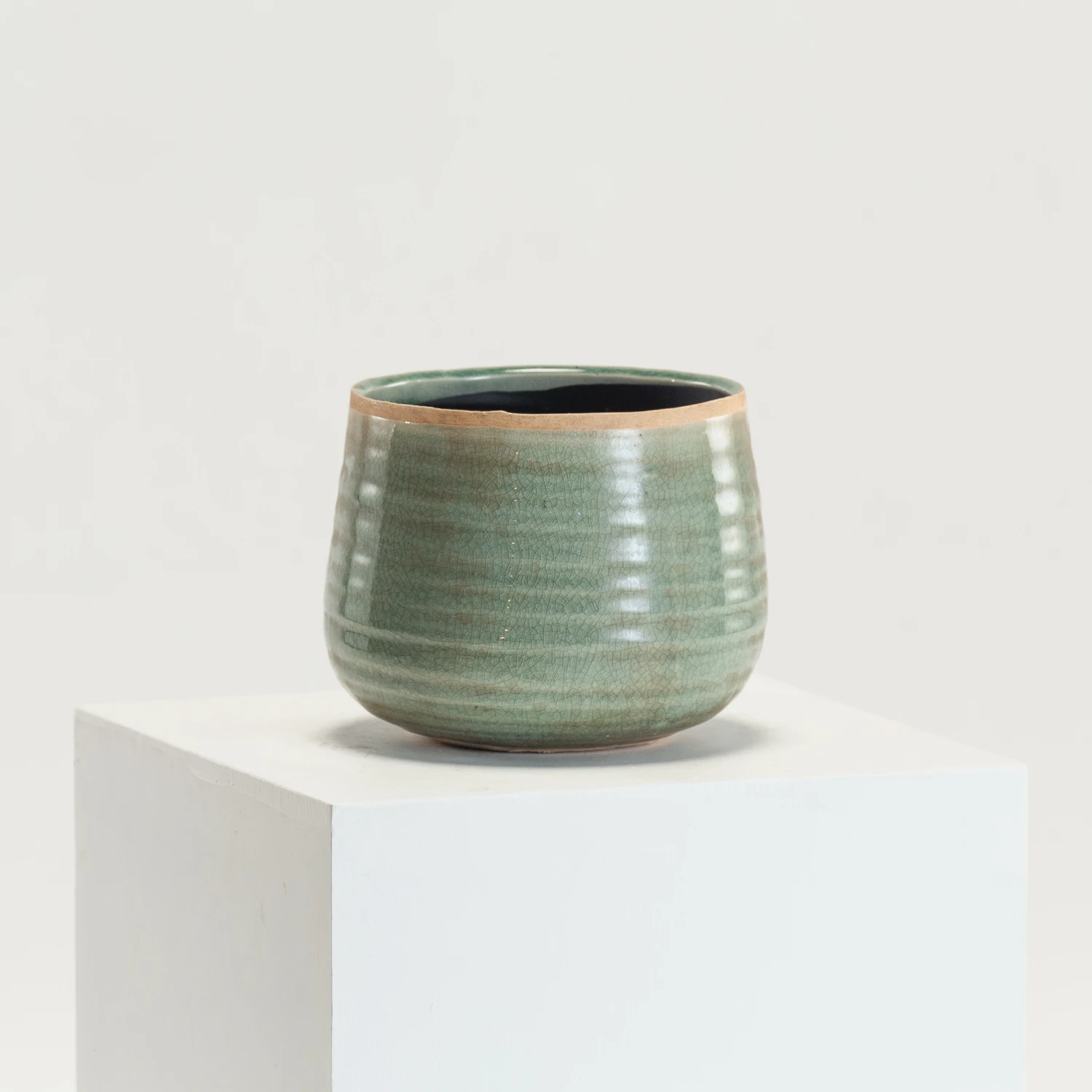 Indoor Pot Iris Mint 6 Indoor Pot Iris Mint - Image 6