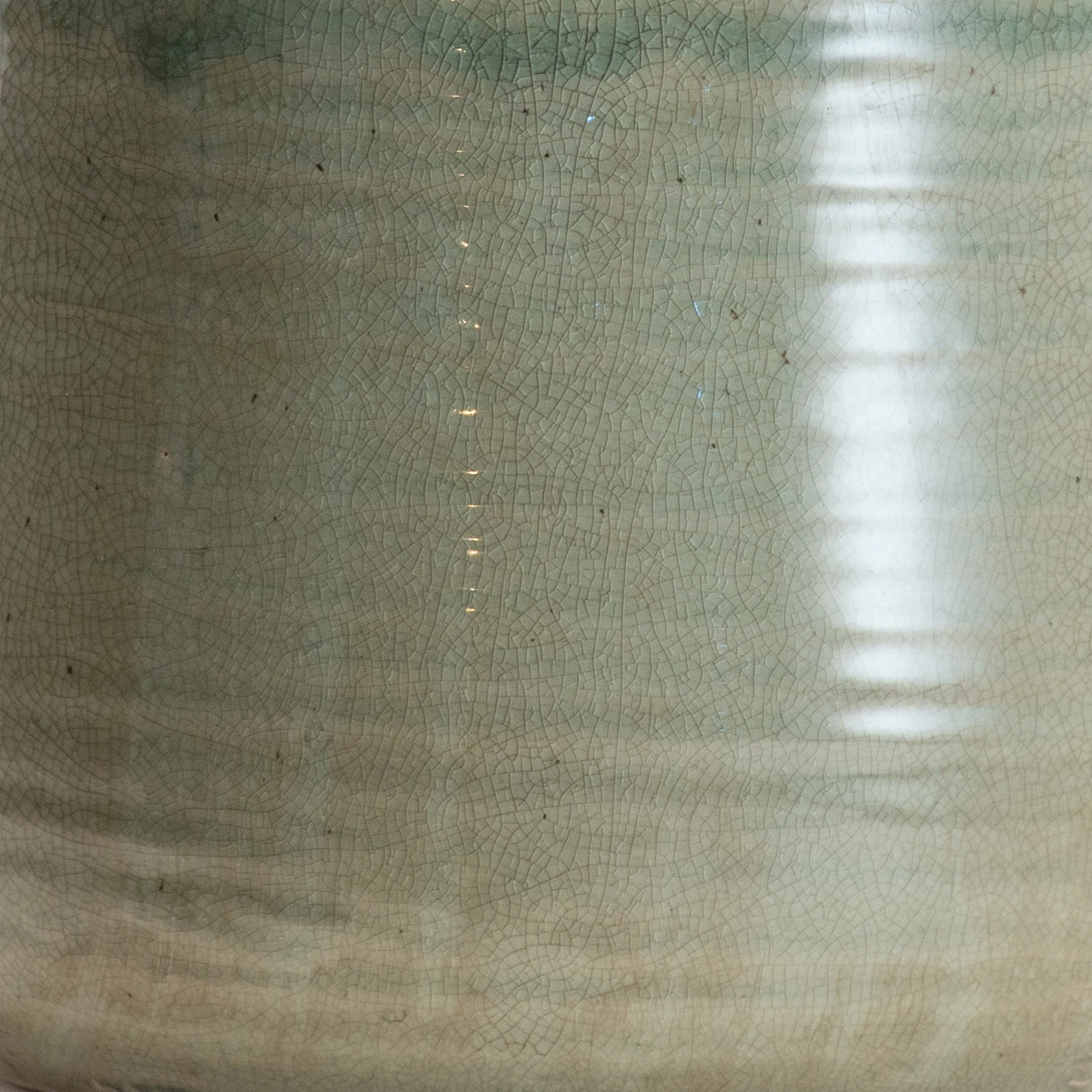 Indoor Pot Iris Mint 2 Indoor Pot Iris Mint - Image 2