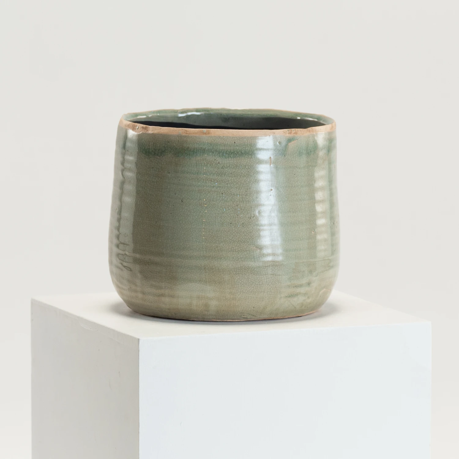 Indoor Pot Iris Mint 7 Indoor Pot Iris Mint - Image 7