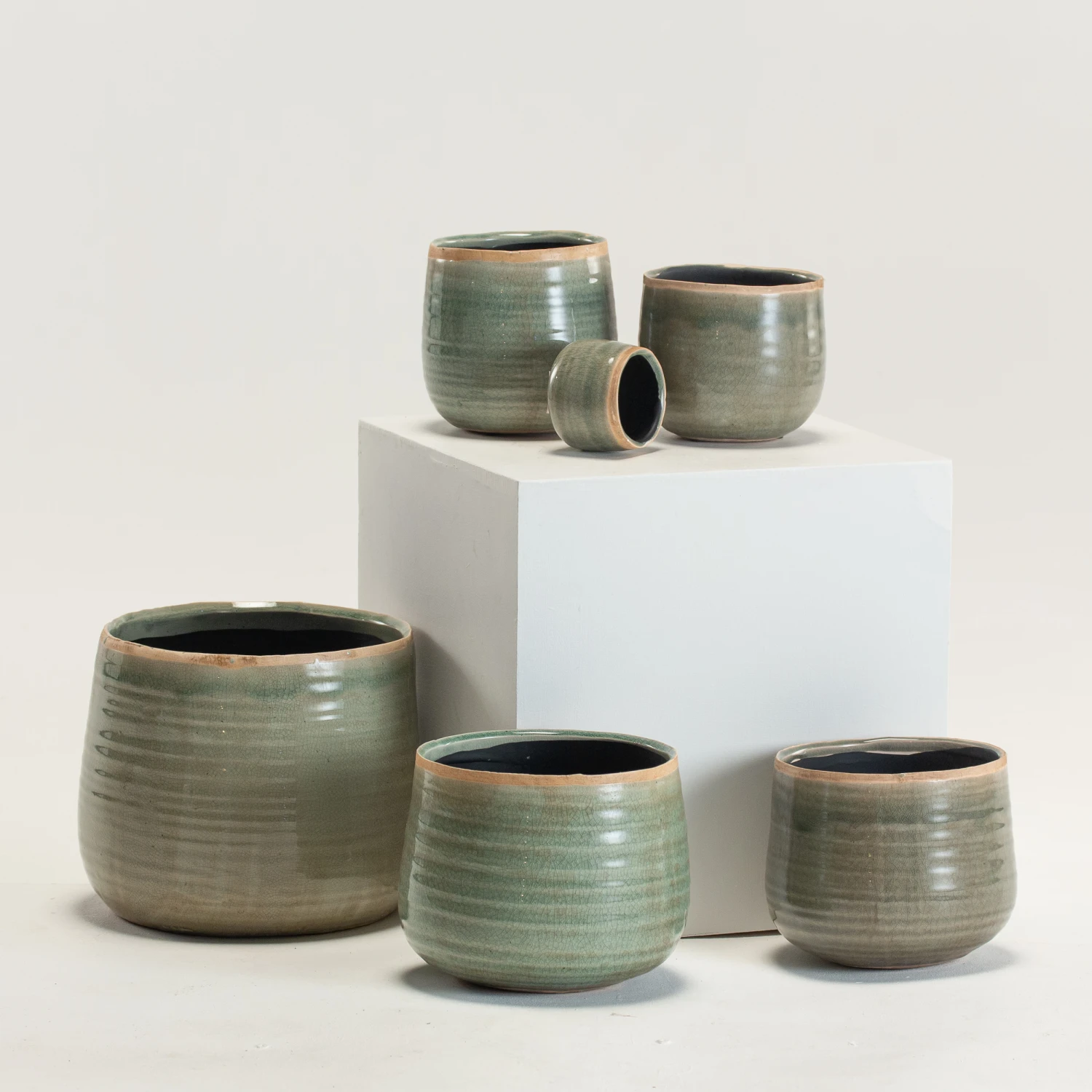 Indoor Pot Iris Mint 1 Indoor Pot Iris Mint