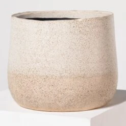 Indoor Pot Iris – Sand 9 Indoor Pot Iris – Sand -Plant Discount Store I 18210 5efdaa8a40490