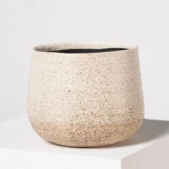 Indoor Pot Iris – Sand 11 Indoor Pot Iris – Sand -Plant Discount Store I 18210 5efdaa8bff810