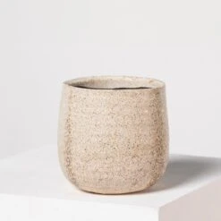 Indoor Pot Iris – Sand 12 Indoor Pot Iris – Sand -Plant Discount Store I 18210 5efdaa8cd6262