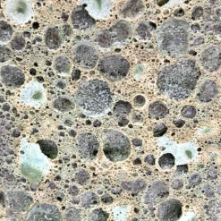 Andros Aquarius Galaxy Outdoor Pot (Emerald Green) 5 Andros Aquarius Galaxy Outdoor Pot (Emerald Green) -Plant Discount Store TS ANDAQGXY 628af76fb4ee3