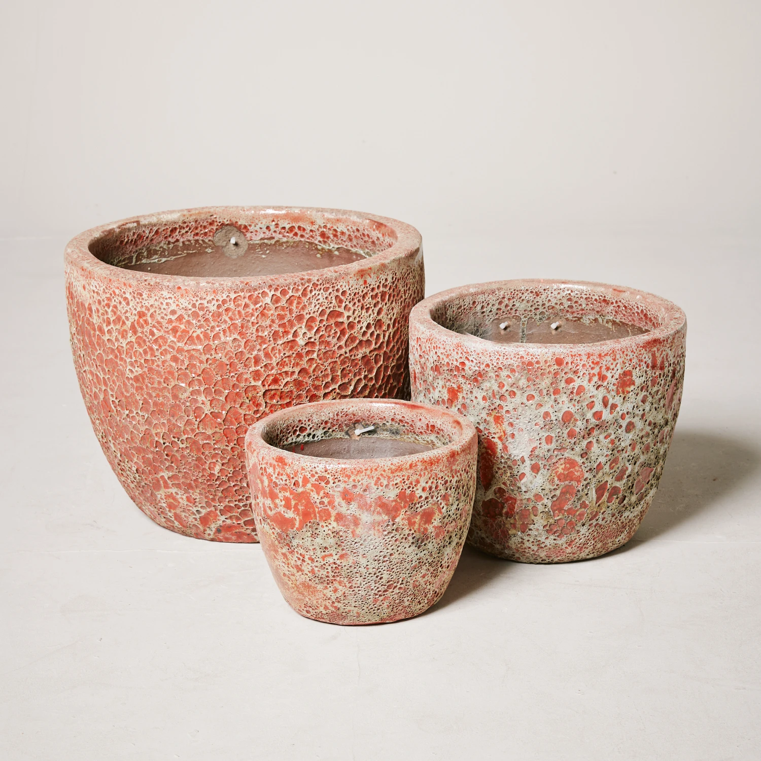 Egg Pot Aquarius Red Dwarf 1 Egg Pot Aquarius Red Dwarf