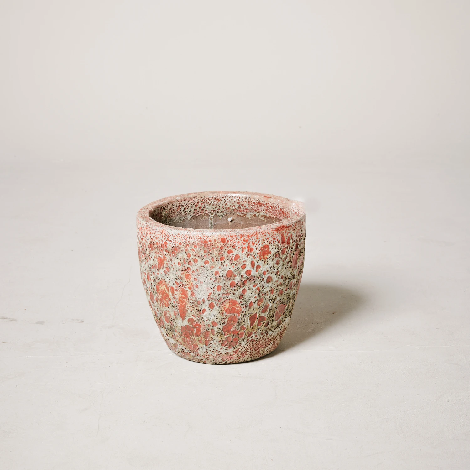 Egg Pot Aquarius Red Dwarf 2 Egg Pot Aquarius Red Dwarf - Image 2