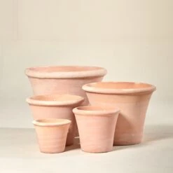 Mirto Flare – Antique 6 Mirto Flare – Antique -Plant Discount Store TS MIR 60c8bb7bbab3f 1