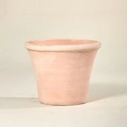 Mirto Flare – Antique 7 Mirto Flare – Antique -Plant Discount Store TS MIR 60c8bb7da895f 1